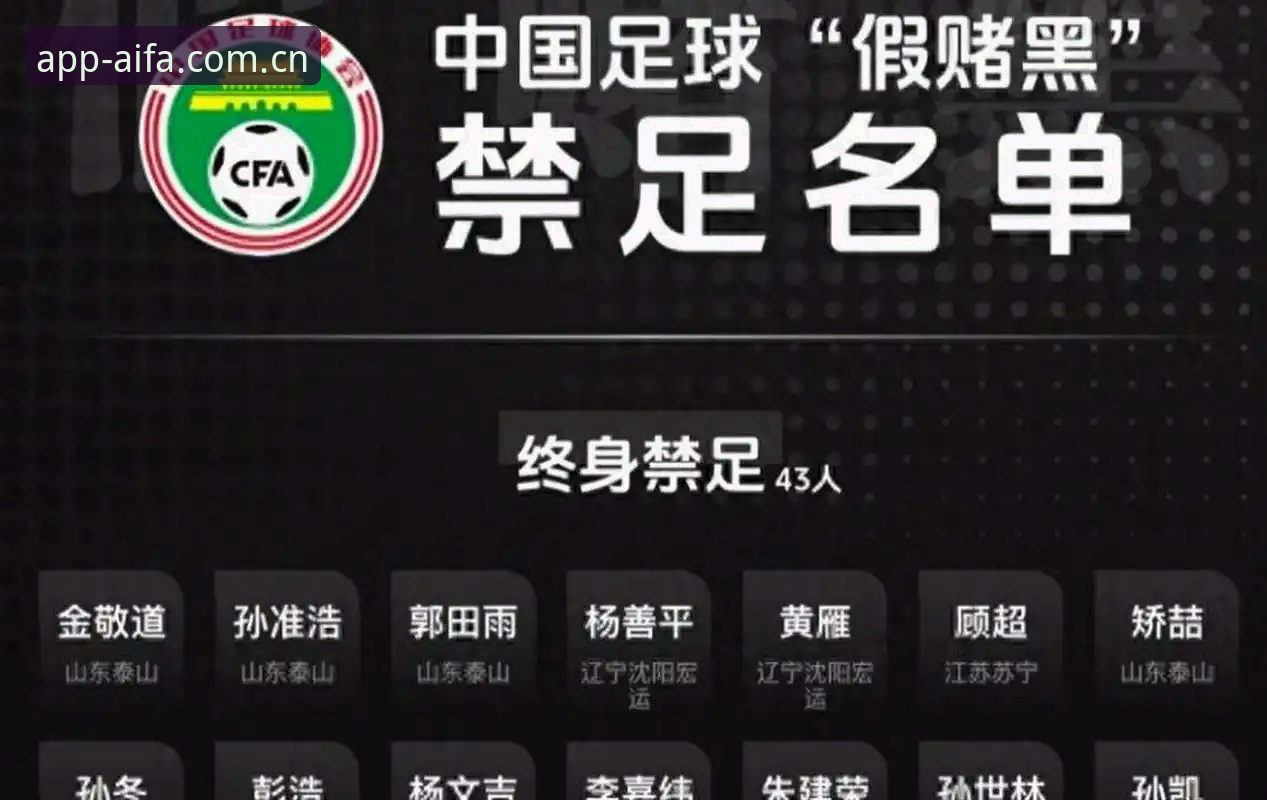 中国足球禁足风暴深度评测：从足协重拳到平台体验的全面分析